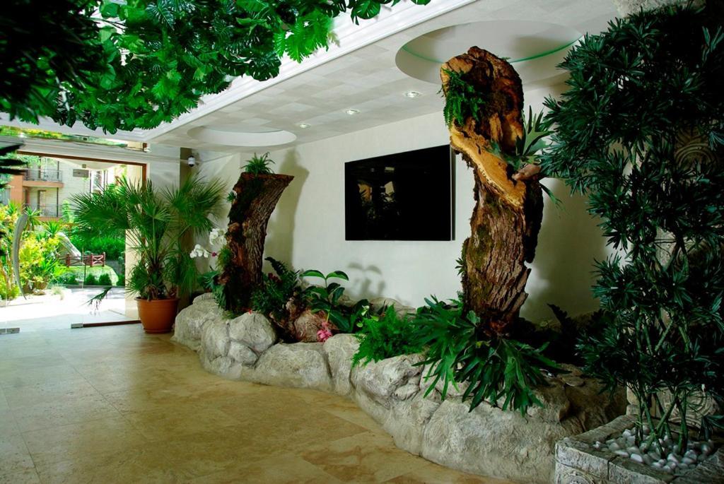 סאני ביץ' Harmony Suites Jungle מראה חיצוני תמונה